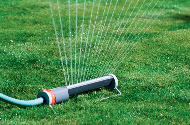 10 Lawn and Garden Tips for First-Time Homeowners