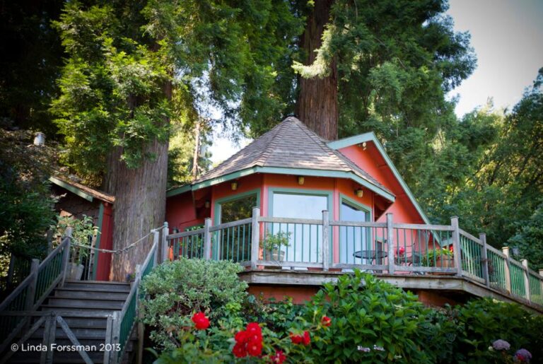 Located near Healdsburg, Calif., the Redwood Tree House is perfect for vacationers in need of a quiet retreat.