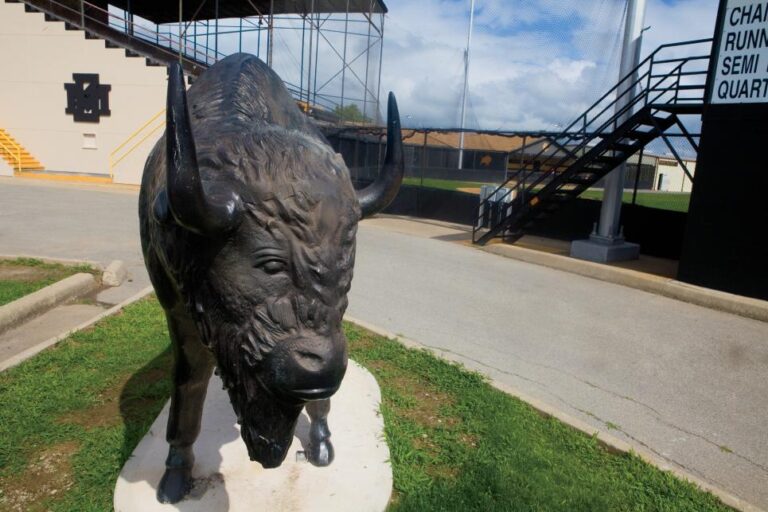 Buffalo Statue at Mike Deak Stadium in McAlester, OK