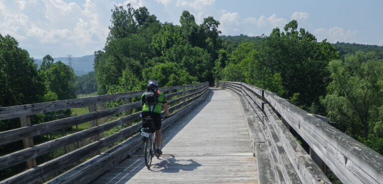 Biker crosses a bridge towards trees on a bright day.
