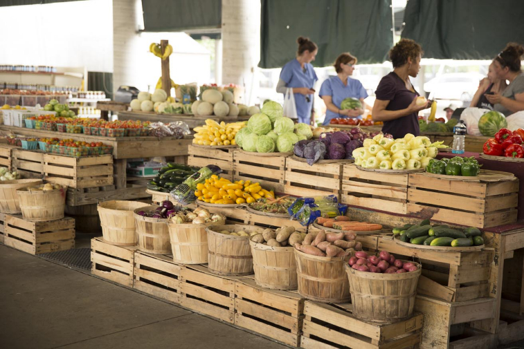 Vegetables on display at the Nashville Farmers Market