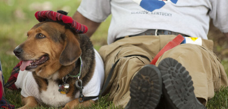 A dog wears a Scottish hat while laying in the grass during the Glasgow Highland Games.