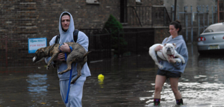 A man and women carry dogs across a flooded street in Hoboken, NJ during the 2012 flood.