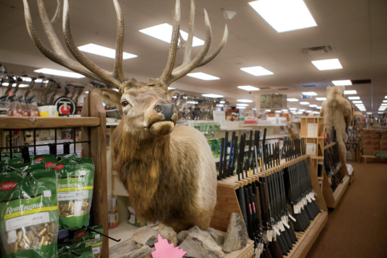 Hunting in Gillette, Wyoming