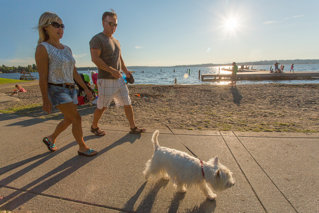 A man and woman walk with a scottie dog along a sidewalk near Lake Washington in Kirkland.