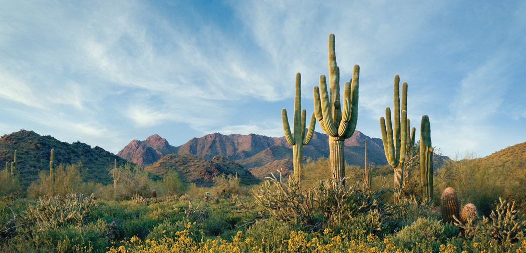 McDowell Mountain Preserve is a top attraction in Scottsdale, Arizona.