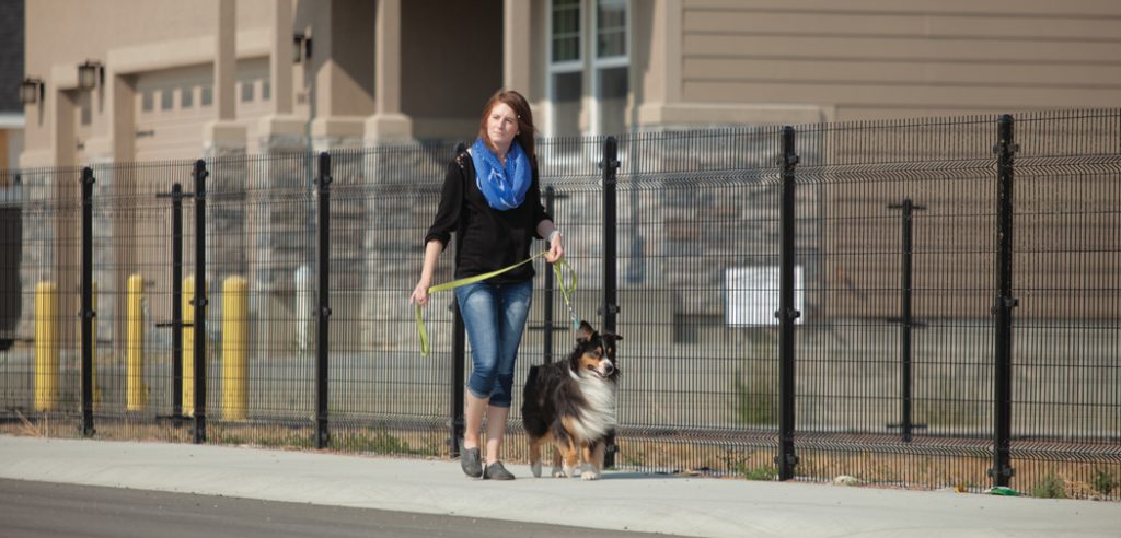 A woman walks a dog along a black metal fence at the new Gunsight Estates development in Rock Springs.
