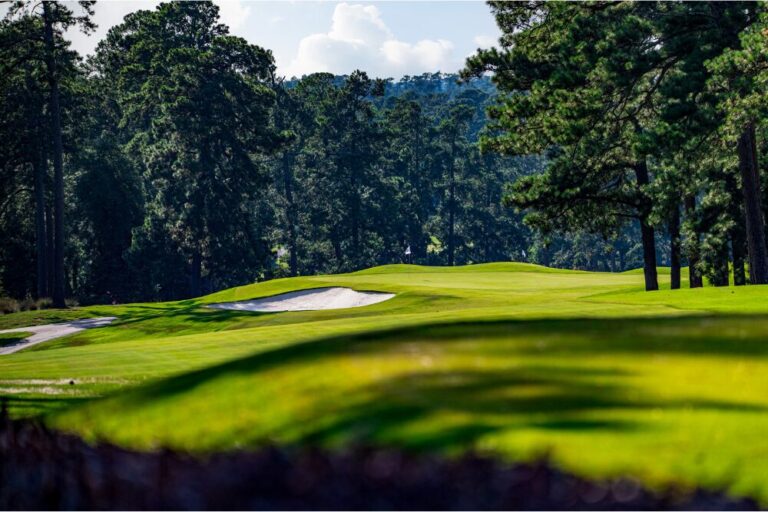 Fairway and Green of Forrest Hills golf course hole Augusta GA
