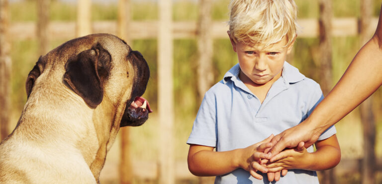 A young boy in a blue shirt looks sad as a dog watches him.