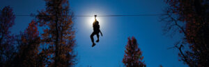 The silhouette of a person can be seen in front of a setting sun as he ziplines through trees.