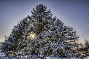 St. Louis Park