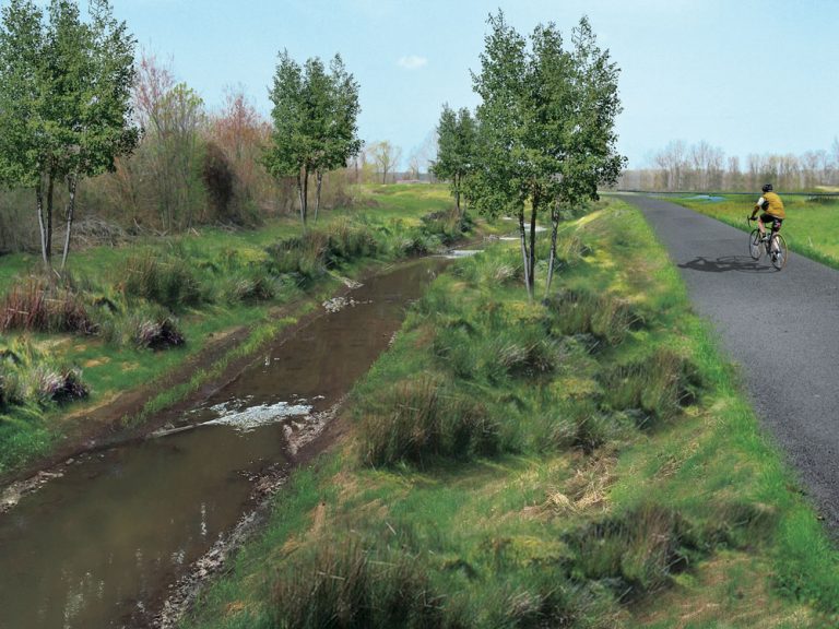 Conceptual rendering for the Middle Fork Forked Deer Stream and Floodplain Restoration Project