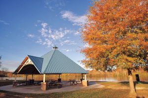 Oak Ridge, TN