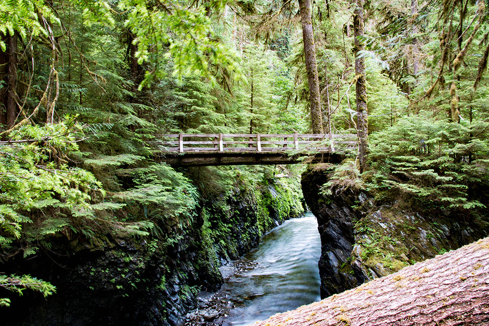 Olympic National Park is one of 26 American UNESCO sites.