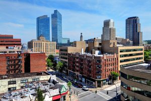 white plains