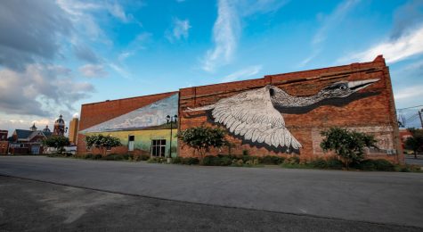 Greenville, NC