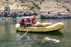 Rafting|Rafting|stock|Rafting