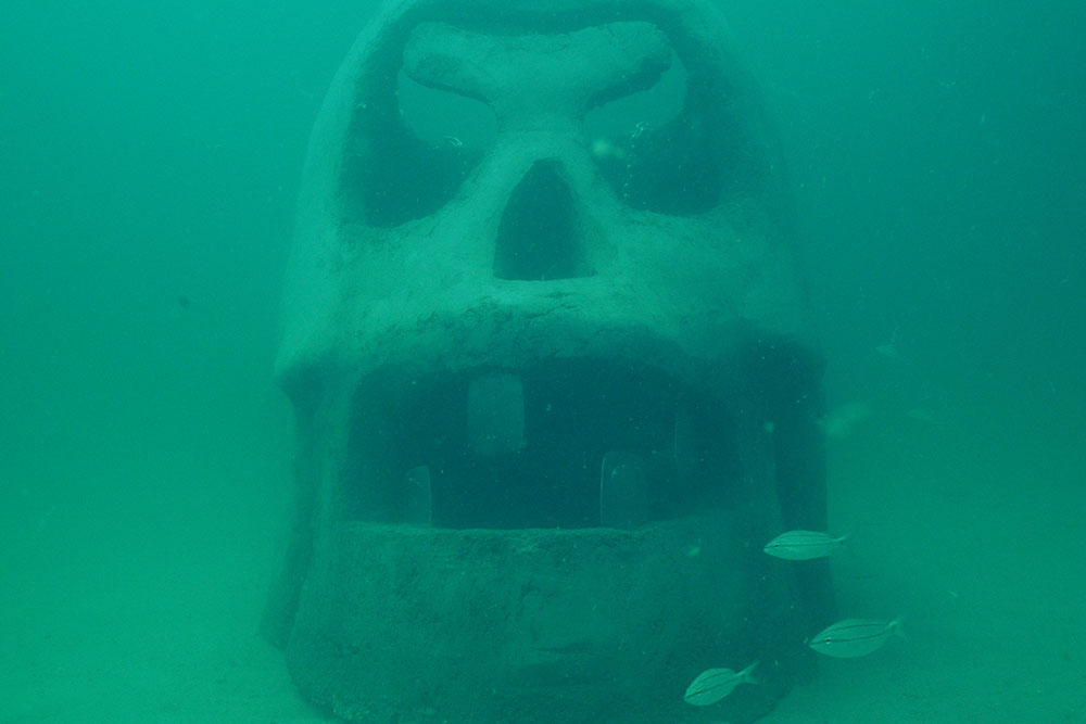 Florida underwater skull