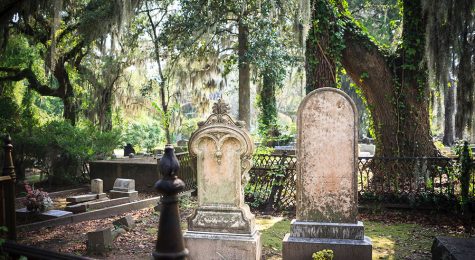 Savannah GA