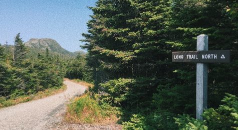 vt