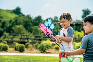 Kingsport, TN Parks