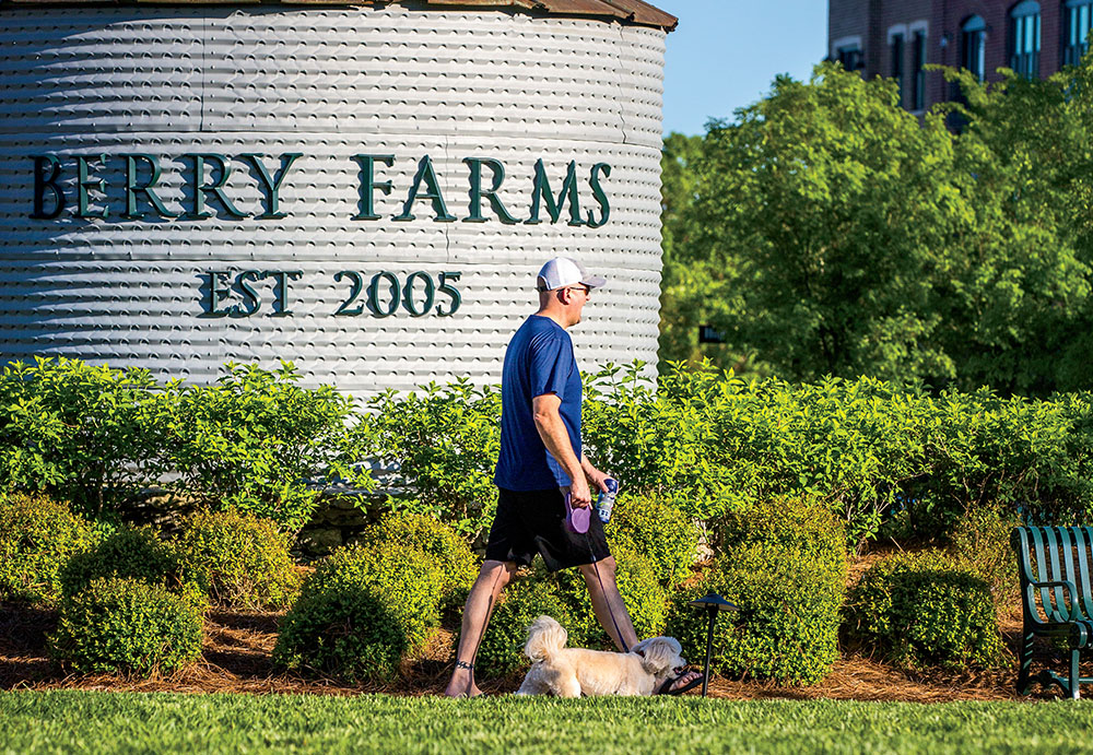 Franklin, TN: Berry Farms