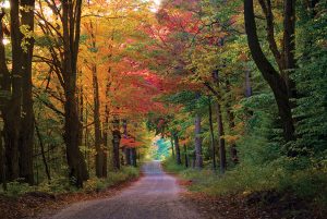 Northwest Michigan