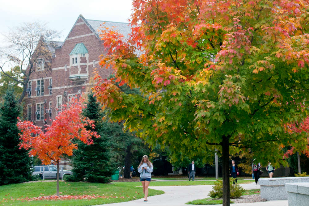 Michigan State University