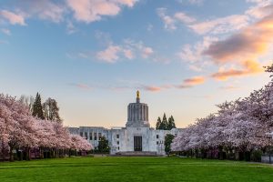 State Capitol Park in Salem is a beautiful place, especially in spring time when cherry trees are in bloom.