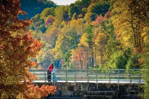 Kingsport TN