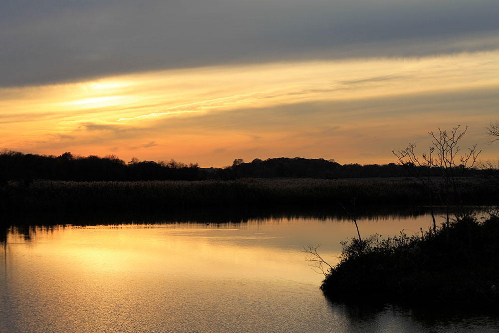 MiddletownDE
