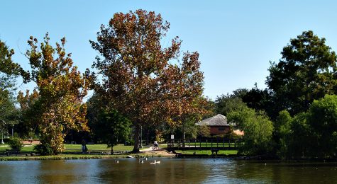 Lake and footbridge, Lafreniere Park, Metairie, Lousiana (New Orleans metropolitan area).