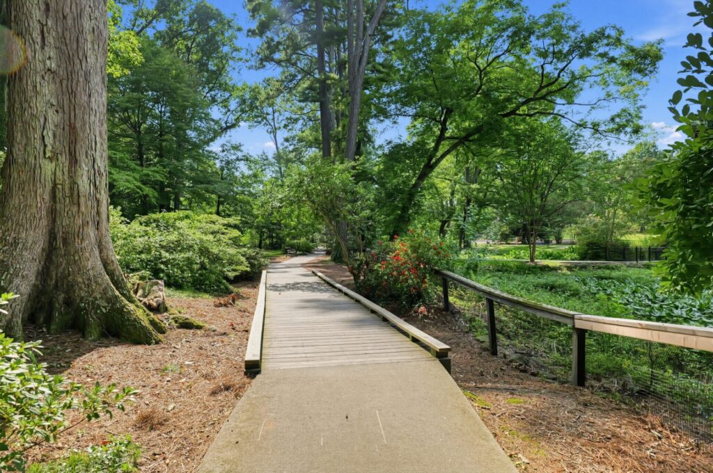 Gorgeous path at Glencairn 