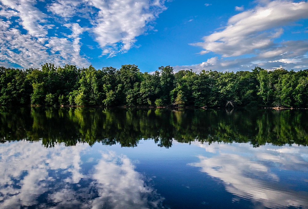 forest treeline reflections in catawba river in South Carolina.