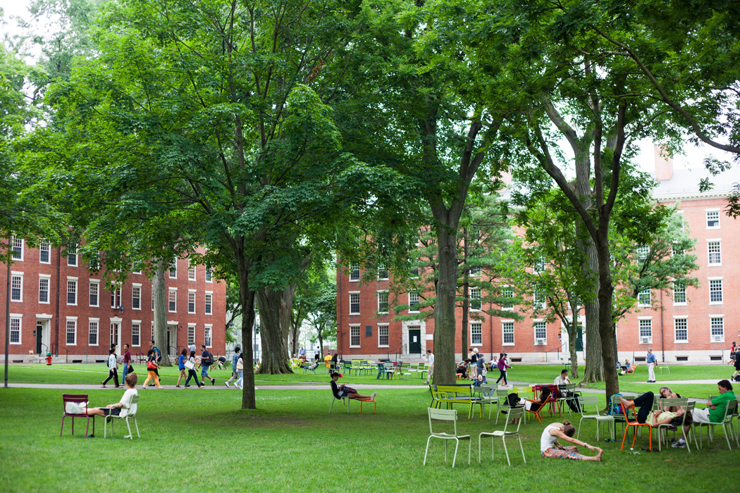 Harvard University students relax on the lawn where colorful chairs have been placed. Many sit under the shade of trees.