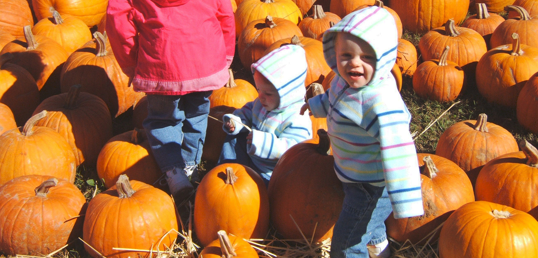Kids enjoy a pumpkin patch in Falls Church, Virginia.