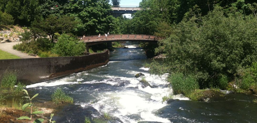 A bridge crosses over a stream in Tumwater, WA