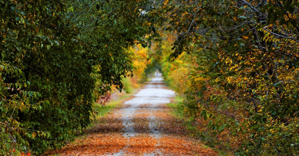 Autumn on the MoPac trail in Lincoln, NE