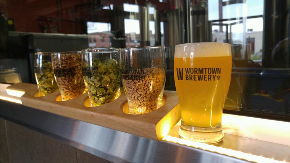 Wormtown Brewery display showing hops, malt and barley.