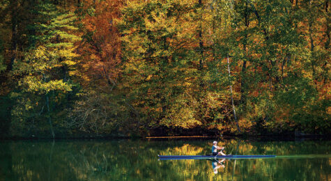 Oak Ridge, TN