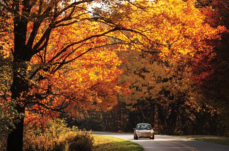 Car surrounded by fall foliage drives through Asheville