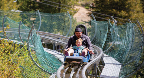 father and child zip down mountain coaster