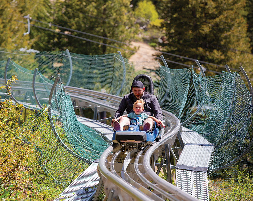 father and child zip down mountain coaster