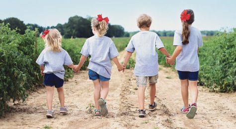 kids holding hands while walking through field