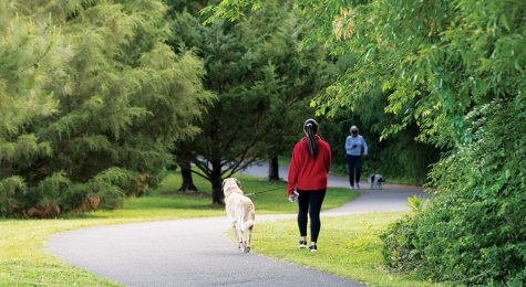 People walk their dogs on one of the many greenway trails in Williamson County