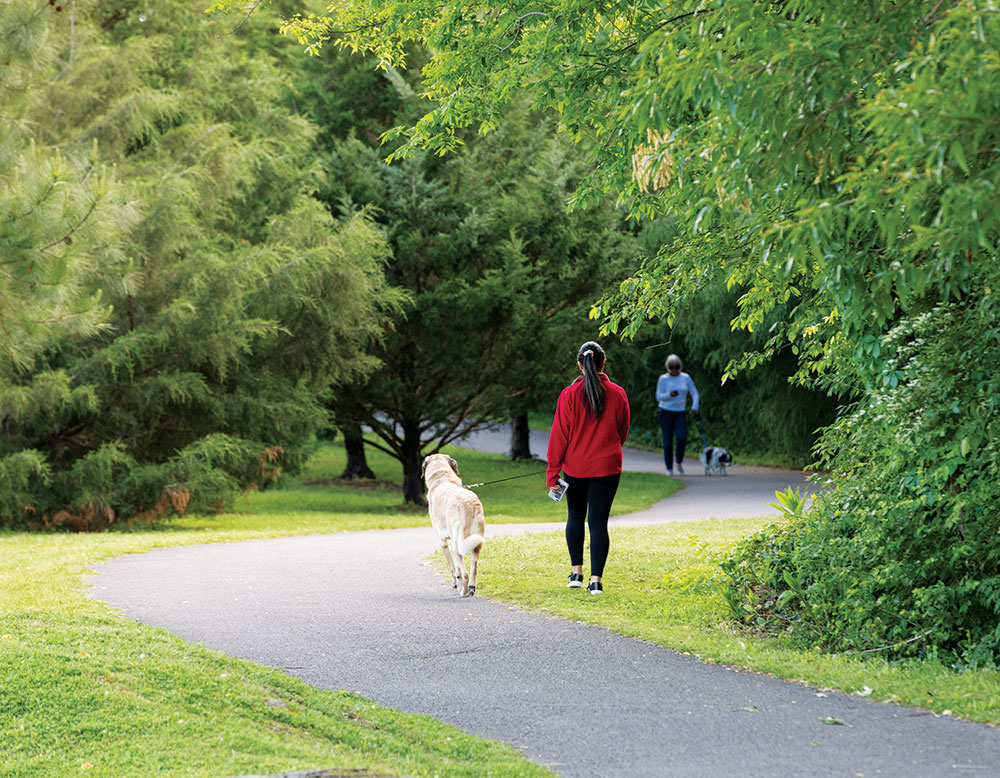 People walk their dogs on one of the many greenway trails in Williamson County