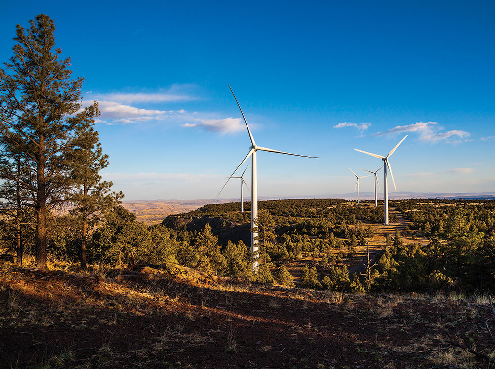 Red Mesa Wind Farm in New Mexico