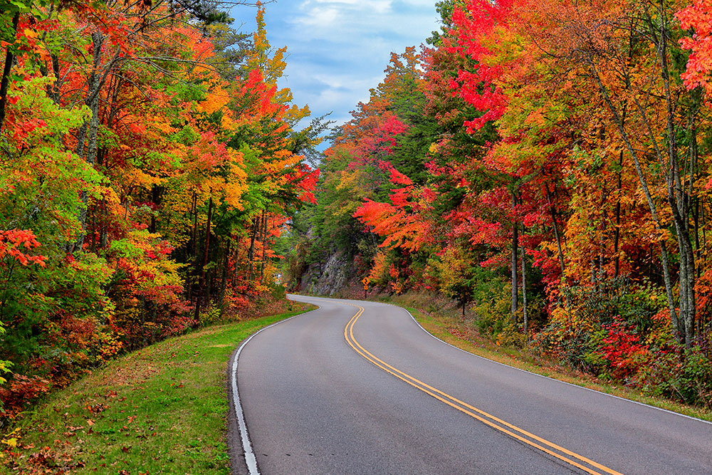 Autumn colors along the Foothills Parkway near Gatlinburg, Tennessee
