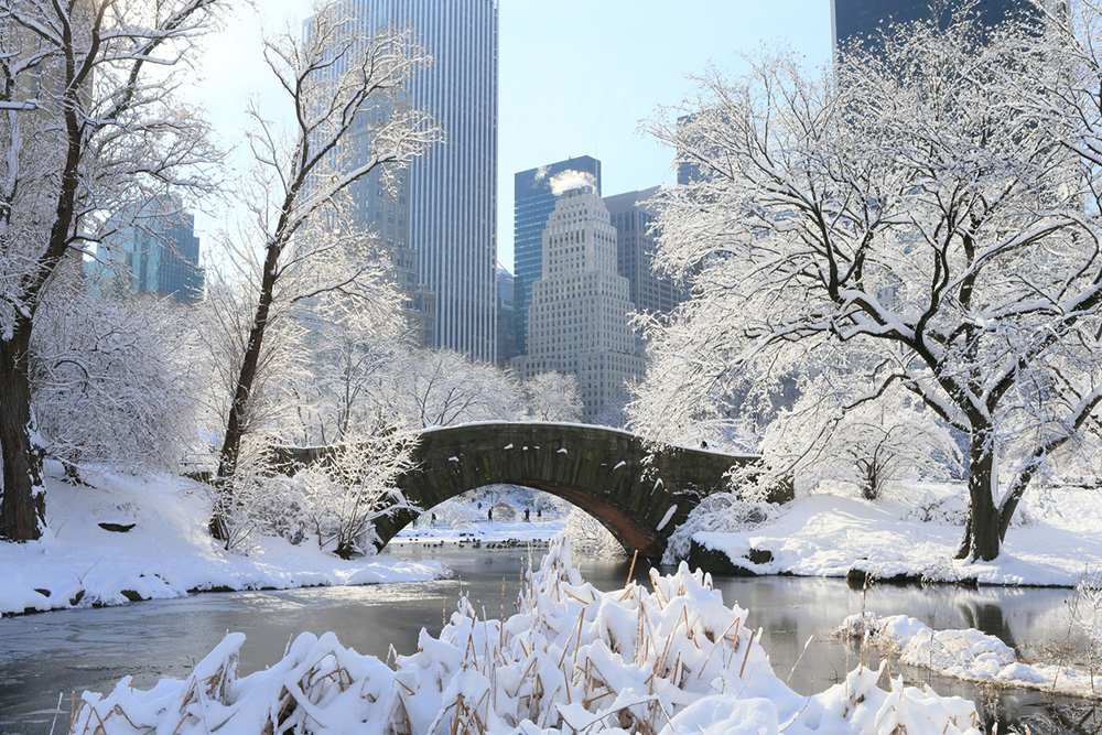 snow in Central Park, New York City