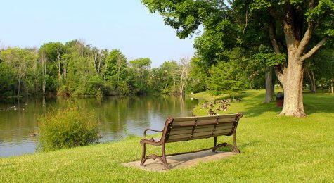 bench overlooking pond
